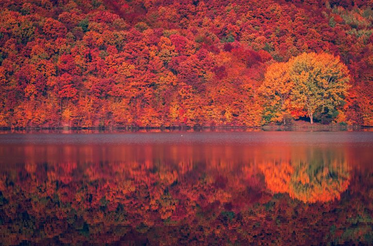 autumn-colors-reflected-on-lake_t20_Ep4jyY